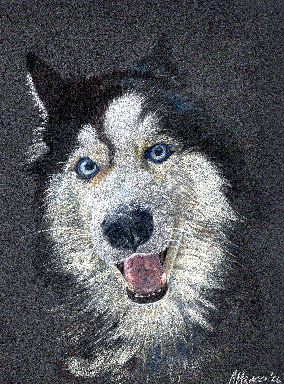 Blue-Eyed Husky