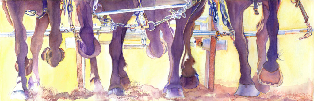 Watercolor of Carriage Draft Horse Legs
